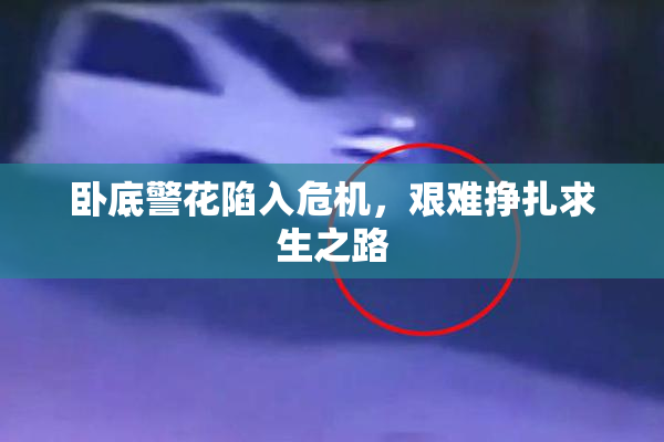 卧底警花陷入危机，艰难挣扎求生之路