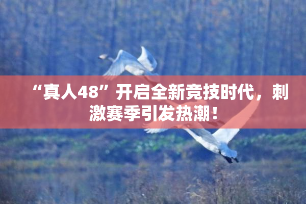 “真人48”开启全新竞技时代，刺激赛季引发热潮！