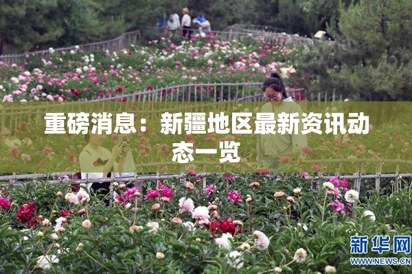 重磅消息：新疆地区最新资讯动态一览