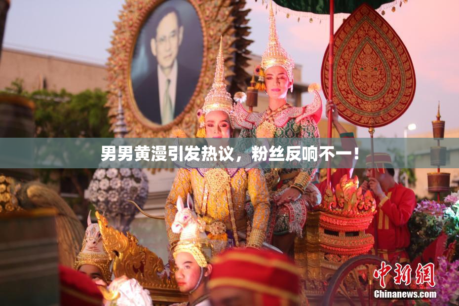 男男黄漫引发热议，粉丝反响不一！