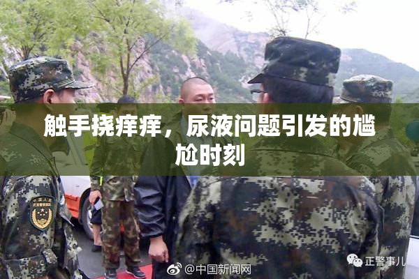 触手挠痒痒，尿液问题引发的尴尬时刻