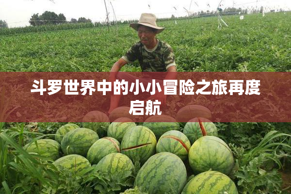 斗罗世界中的小小冒险之旅再度启航