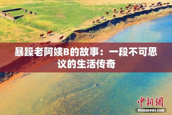 暴躁老阿姨B的故事：一段不可思议的生活传奇