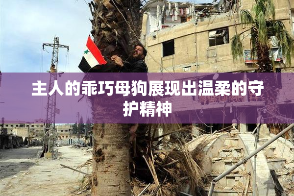 主人的乖巧母狗展现出温柔的守护精神