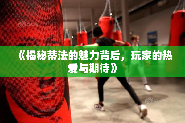 《揭秘蒂法的魅力背后，玩家的热爱与期待》