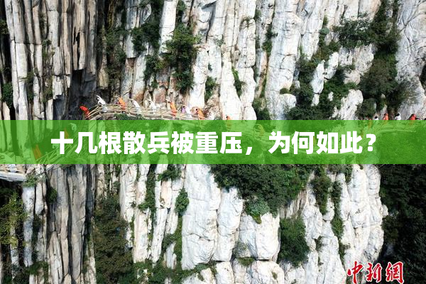十几根散兵被重压，为何如此？