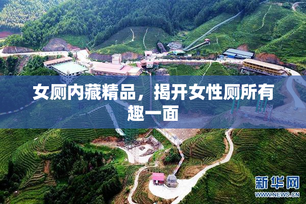 女厕内藏精品，揭开女性厕所有趣一面