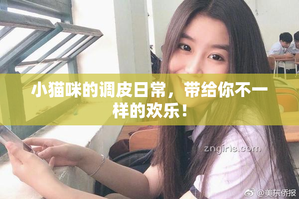 小猫咪的调皮日常，带给你不一样的欢乐！
