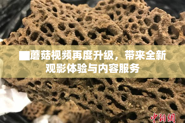 ▇蘑菇视频再度升级，带来全新观影体验与内容服务