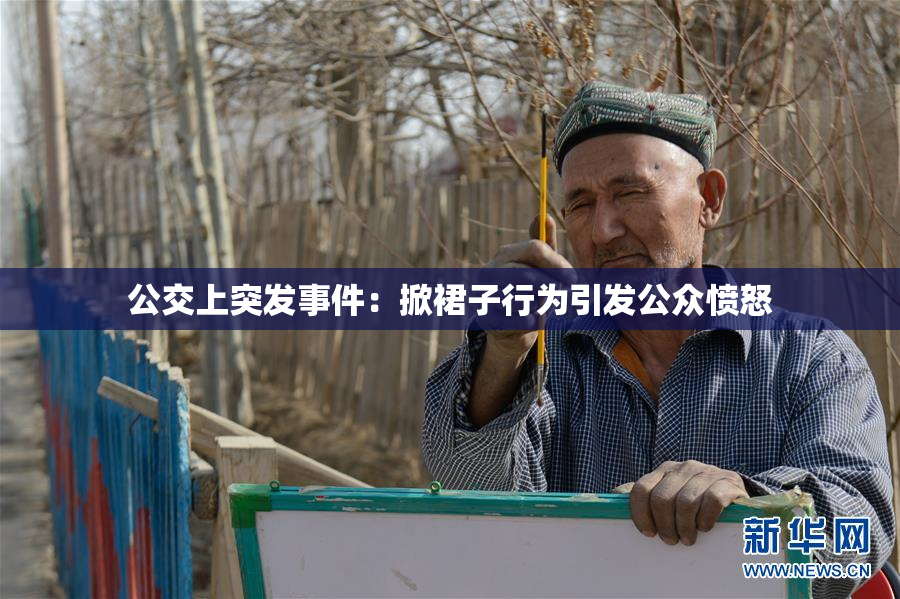 公交上突发事件：掀裙子行为引发公众愤怒