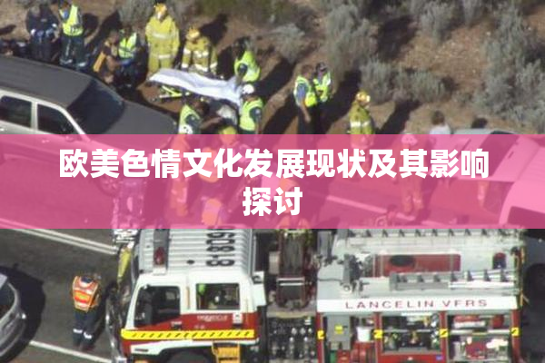 欧美色情文化发展现状及其影响探讨