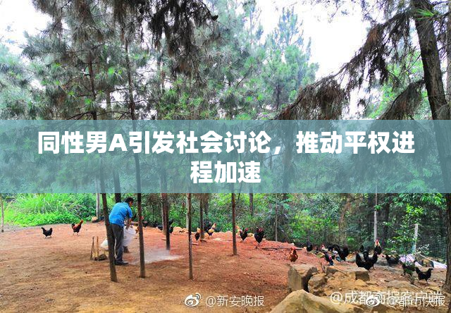 同性男A引发社会讨论，推动平权进程加速