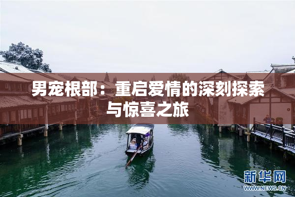 男宠根部：重启爱情的深刻探索与惊喜之旅