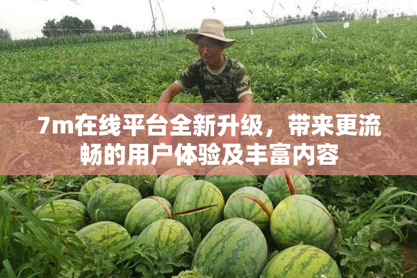 7m在线平台全新升级，带来更流畅的用户体验及丰富内容