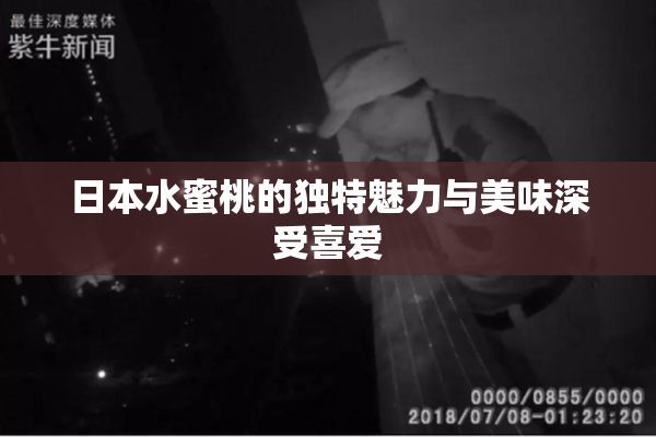 日本水蜜桃的独特魅力与美味深受喜爱