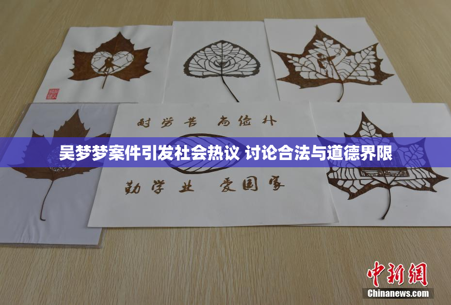 吴梦梦案件引发社会热议 讨论合法与道德界限