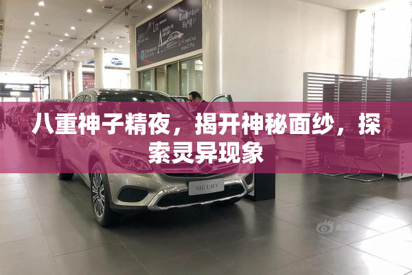 八重神子精夜，揭开神秘面纱，探索灵异现象
