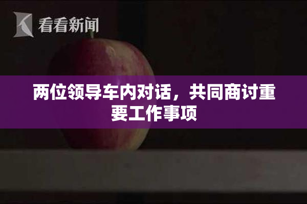 两位领导车内对话，共同商讨重要工作事项