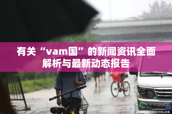 有关“vam国”的新闻资讯全面解析与最新动态报告