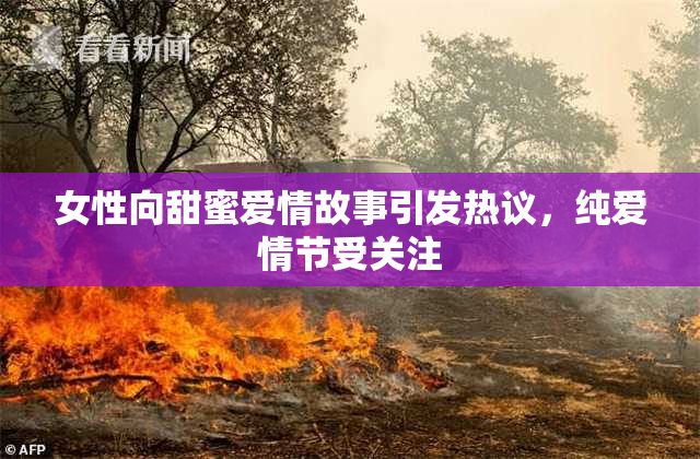 女性向甜蜜爱情故事引发热议，纯爱情节受关注
