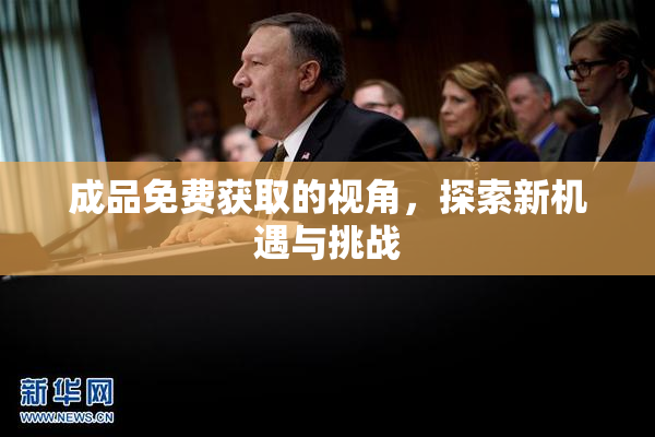 成品免费获取的视角，探索新机遇与挑战