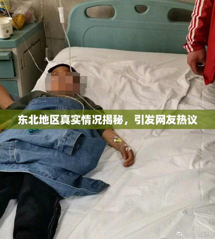 东北地区真实情况揭秘，引发网友热议