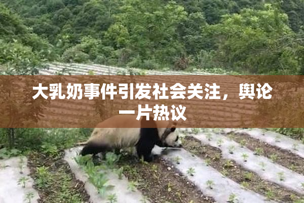 大乳奶事件引发社会关注，舆论一片热议
