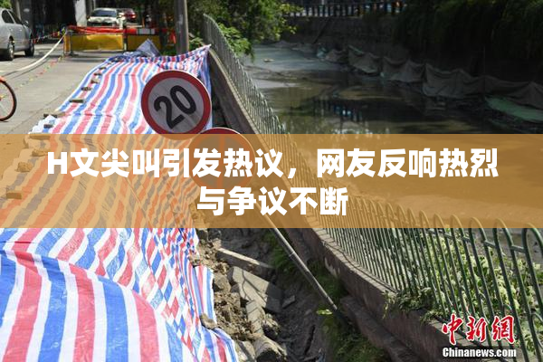 H文尖叫引发热议，网友反响热烈与争议不断