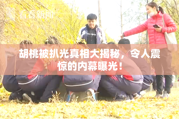 胡桃被扒光真相大揭秘，令人震惊的内幕曝光！