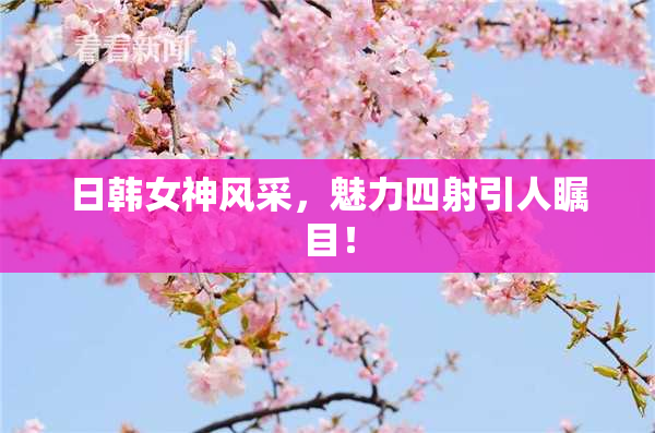 日韩女神风采，魅力四射引人瞩目！