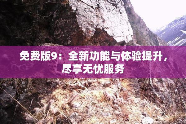 免费版9：全新功能与体验提升，尽享无忧服务