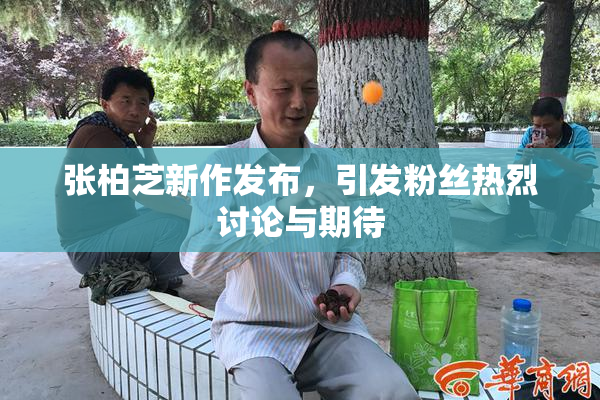 张柏芝新作发布，引发粉丝热烈讨论与期待