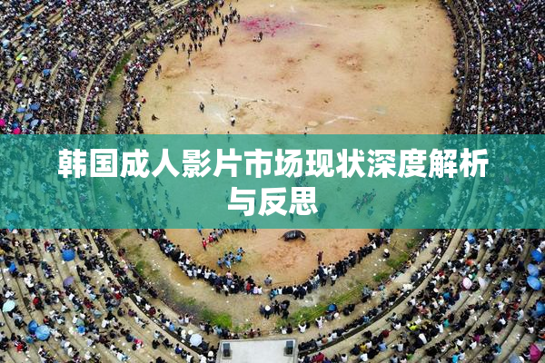 韩国成人影片市场现状深度解析与反思