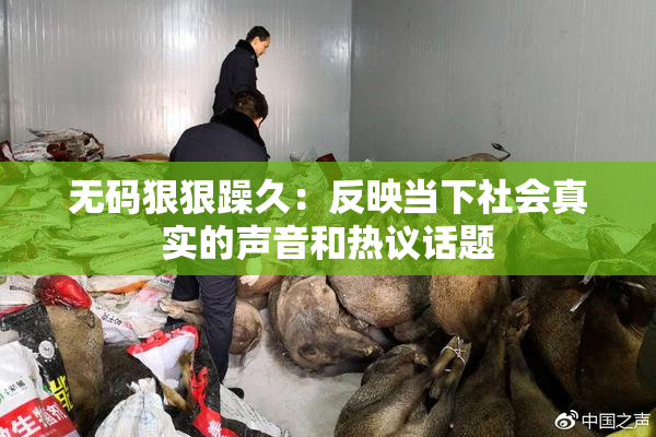 无码狠狠躁久：反映当下社会真实的声音和热议话题