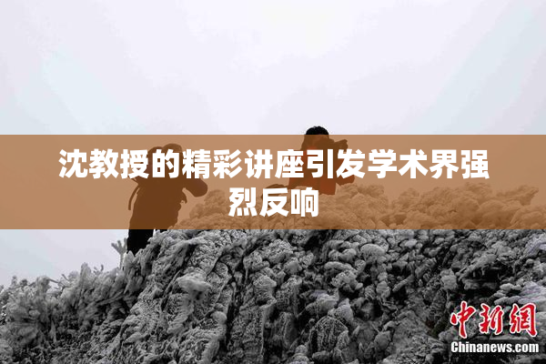 沈教授的精彩讲座引发学术界强烈反响