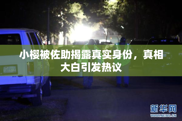 小樱被佐助揭露真实身份，真相大白引发热议