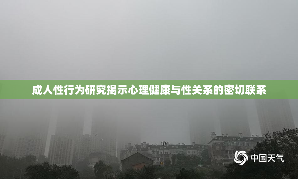 成人性行为研究揭示心理健康与性关系的密切联系