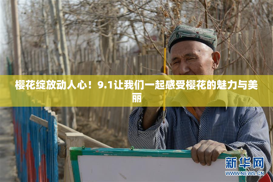 樱花绽放动人心！9.1让我们一起感受樱花的魅力与美丽