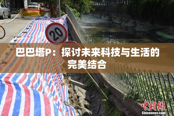 巴巴塔P：探讨未来科技与生活的完美结合