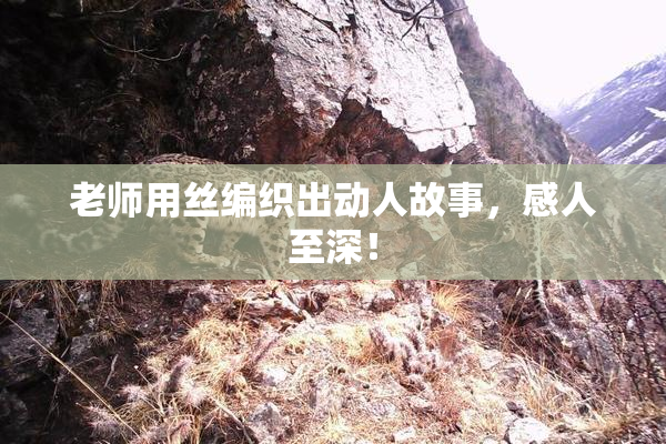 老师用丝编织出动人故事，感人至深！