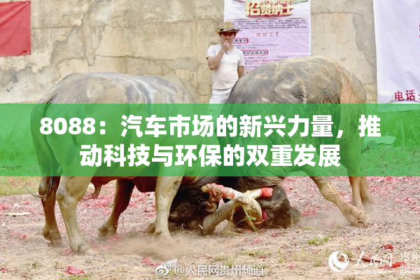 8088：汽车市场的新兴力量，推动科技与环保的双重发展