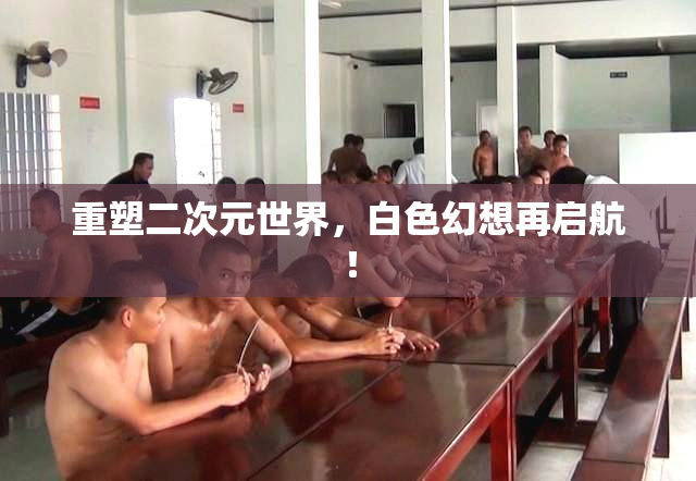 重塑二次元世界，白色幻想再启航！