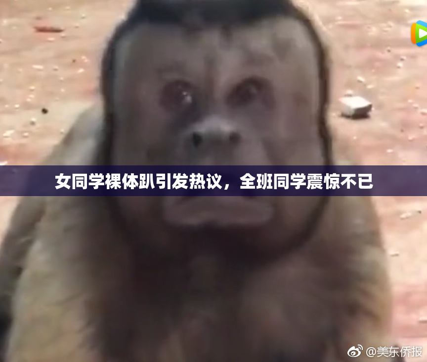 女同学裸体趴引发热议，全班同学震惊不已
