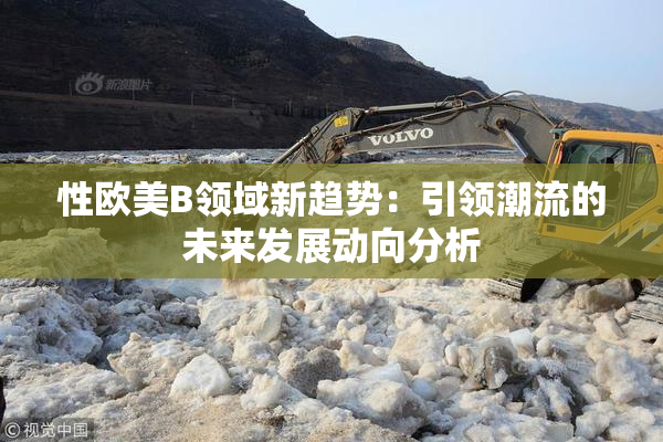 性欧美B领域新趋势：引领潮流的未来发展动向分析