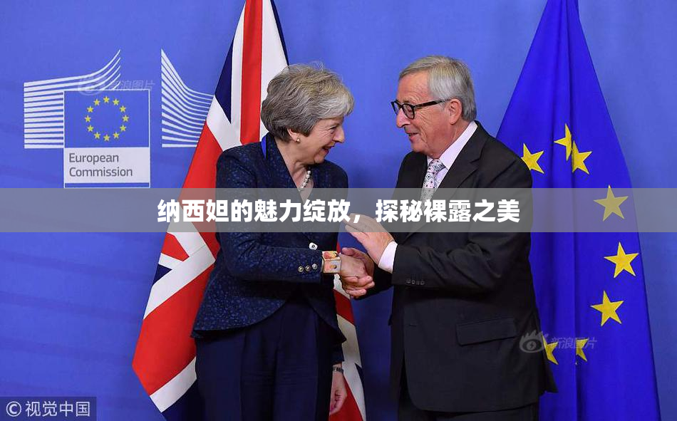 纳西妲的魅力绽放，探秘裸露之美