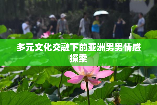 多元文化交融下的亚洲男男情感探索