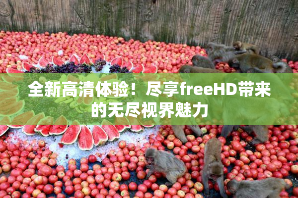 全新高清体验！尽享freeHD带来的无尽视界魅力