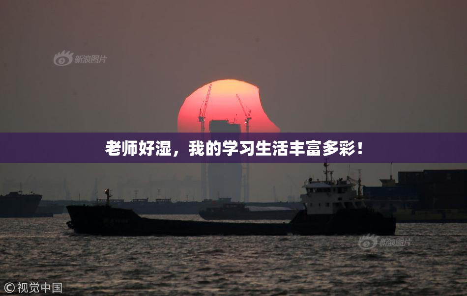 老师好湿，我的学习生活丰富多彩！