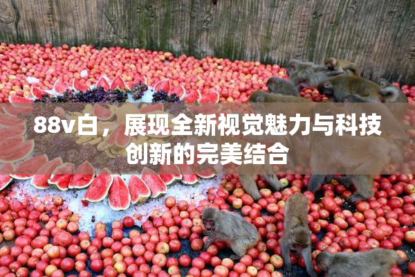 88v白，展现全新视觉魅力与科技创新的完美结合