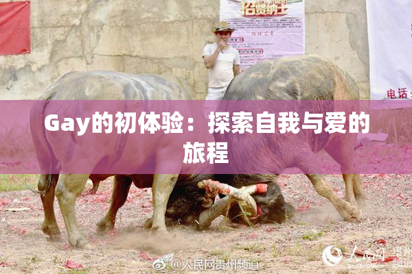 Gay的初体验：探索自我与爱的旅程